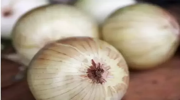 مدار الساعة,أخبار الأسرة,كورونا
