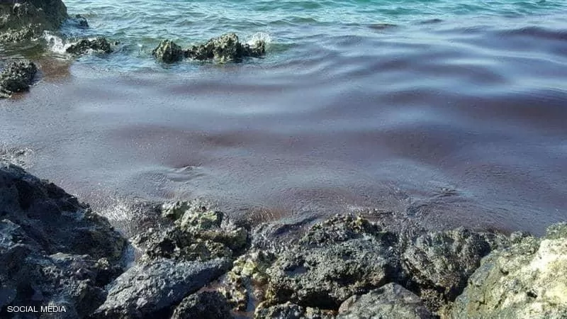 مدار الساعة,أخبار خفيفة ومنوعة,وزارة البيئة
