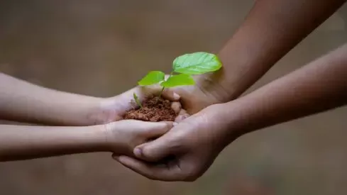 مدار الساعة,شؤون دينية