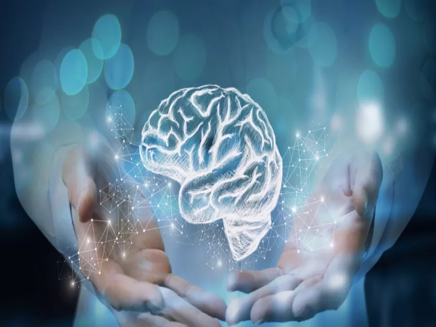 مدار الساعة,أخبار الجامعات الأردنية,وسائل التواصل الاجتماعي