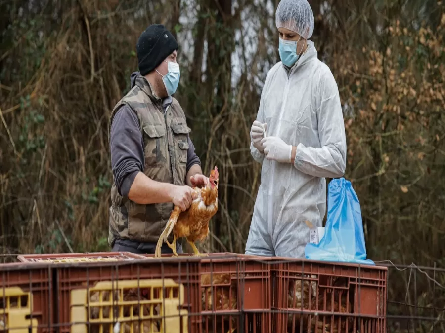 مدار الساعة,أخبار عربية ودولية,كورونا