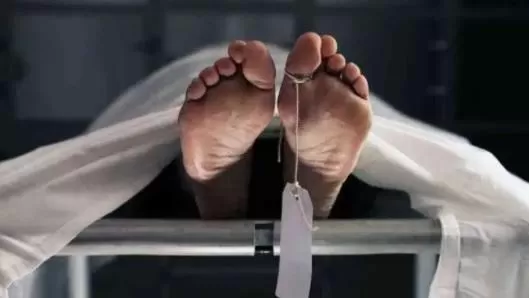 مدار الساعة,أخبار خفيفة ومنوعة