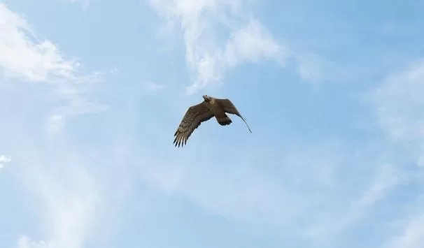 مدار الساعة,أخبار الأردن,اخبار الاردن
