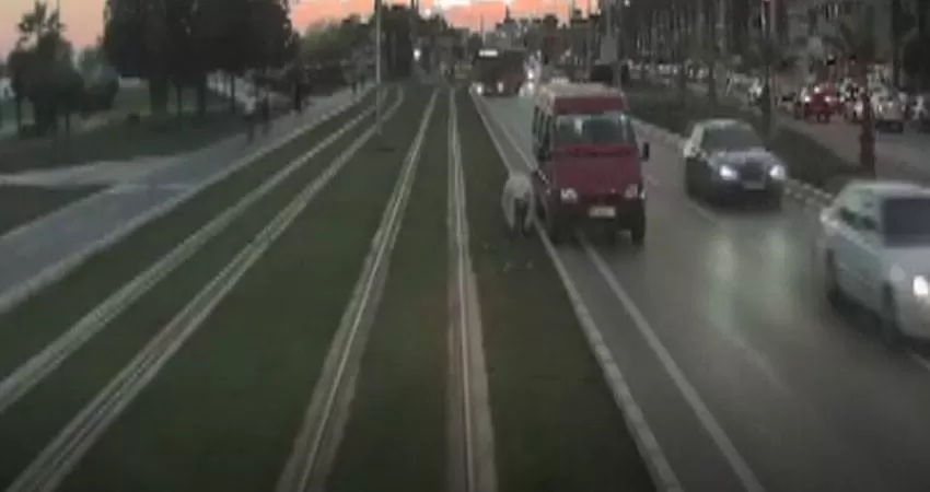 مدار الساعة,Video,فيديو,أخبار خفيفة ومنوعة