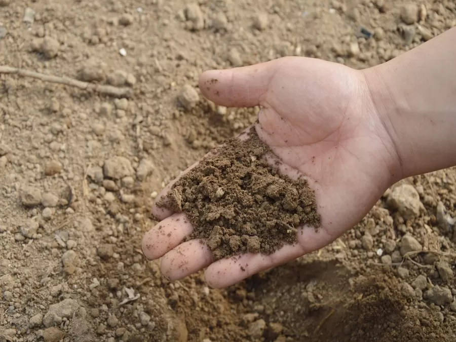 مدار الساعة,أخبار الأردن,اخبار الاردن,كورونا,وكالة الأنباء الأردنية,التنمية المستدامة