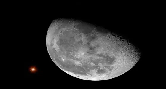 مدار الساعة,أخبار خفيفة ومنوعة