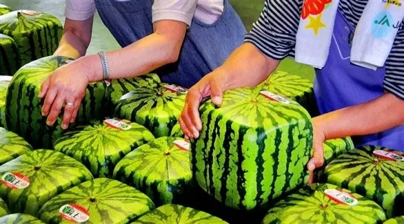 مدار الساعة,أخبار خفيفة ومنوعة,درجات الحرارة
