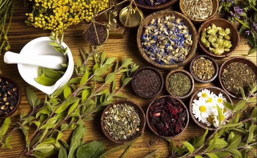 مدار الساعة,أخبار الأردن,اخبار الاردن,المؤسسة العامة للغذاء والدواء,رئاسة الوزراء