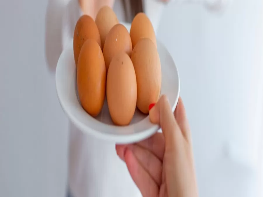 مدار الساعة,أخبار الأسرة