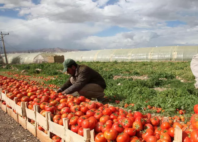 مدار الساعة,أخبار اقتصادية,مؤسسة الإقراض الزراعي,الإقراض الزراعي