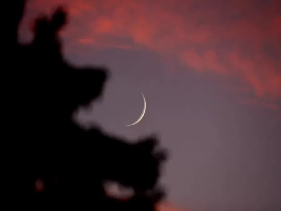 مدار الساعة,أخبار عربية ودولية,عيد الأضحى