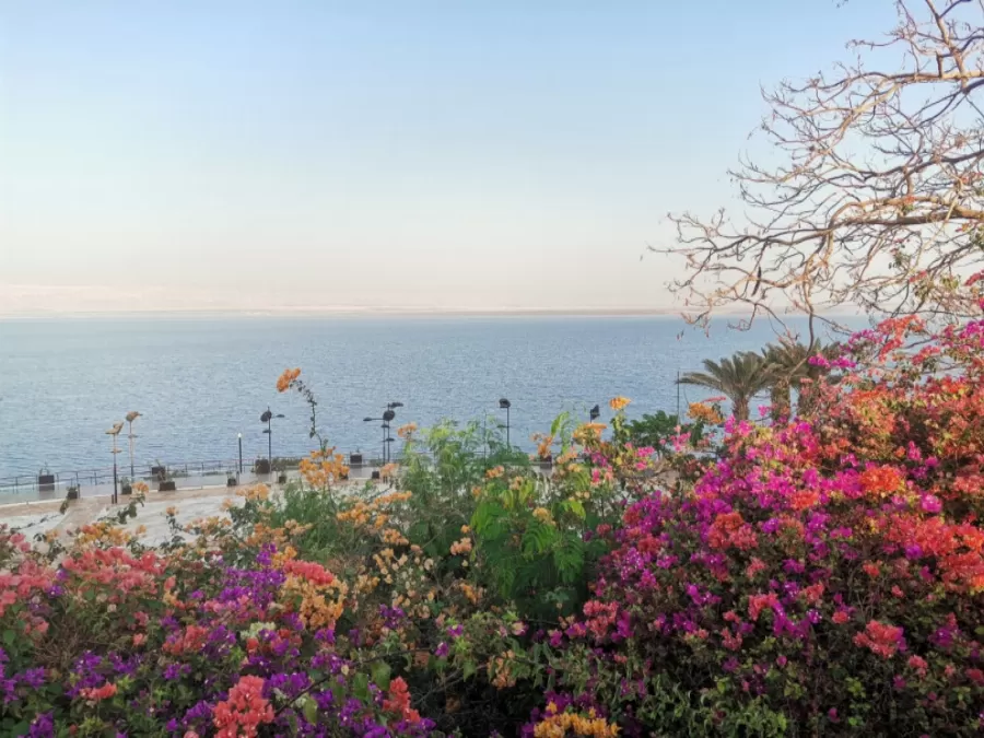 مدار الساعة,الطقس في الأردن اليوم,طقس الأردن,طقس العرب,طقس العرب الاردن,درجات الحرارة,الأرصاد الجوية,البحر الميت