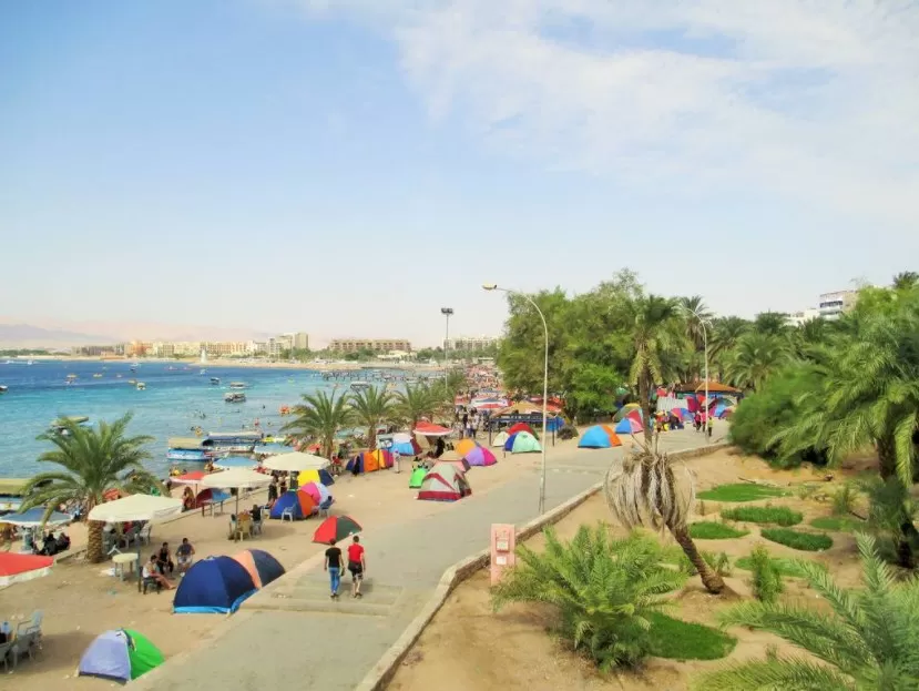 مدار الساعة,أخبار الأردن,اخبار الاردن,كورونا,وزارة الصحة,سلطة منطقة العقبة الاقتصادية الخاصة