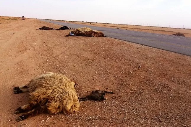 مدار الساعة,أخبار الأردن,اخبار الاردن,مديرية الأمن العام,الأمن العام,الدفاع المدني