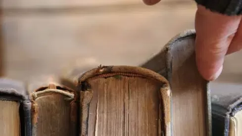 مدار الساعة,أخبار ثقافية