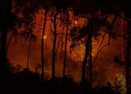 مدار الساعة,مقالات,وزارة الصحة,وزارة الزراعة,وزارة الداخلية,وزارة البيئة,وزارة المياه