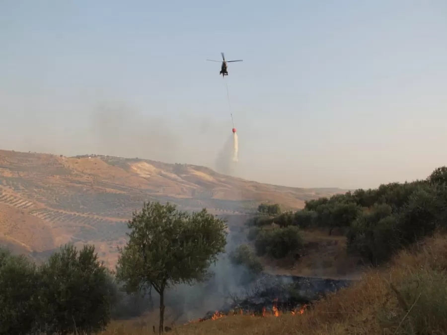 مدار الساعة,أخبار الأردن,اخبار الاردن,مديرية الأمن العام,الأمن العام,الدفاع المدني,سلاح الجو الملكي