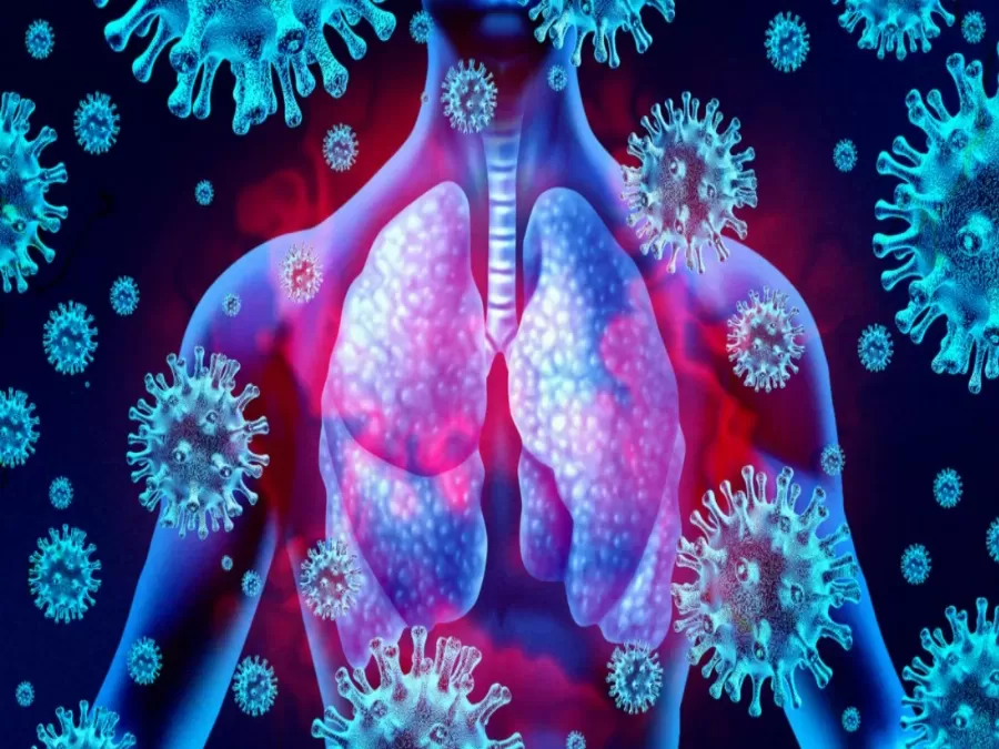 مدار الساعة,أخبار عربية ودولية,كورونا