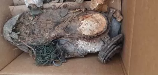 مدار الساعة,أخبار الأردن,اخبار الاردن,وزارة الخارجية وشؤون المغتربين,وزارة الخارجية,القوات المسلحة,الجيش العربي,القيادة العامة للقوات المسلحة