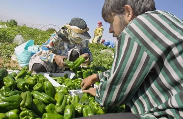 مدار الساعة,أخبار اقتصادية