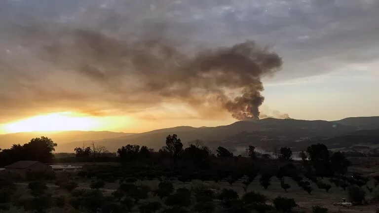 مدار الساعة,أخبار عربية ودولية
