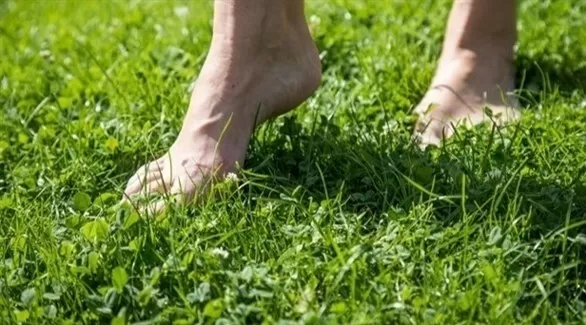 مدار الساعة,شؤون دينية