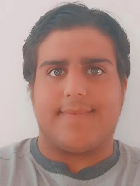 مدار الساعة,مقالات