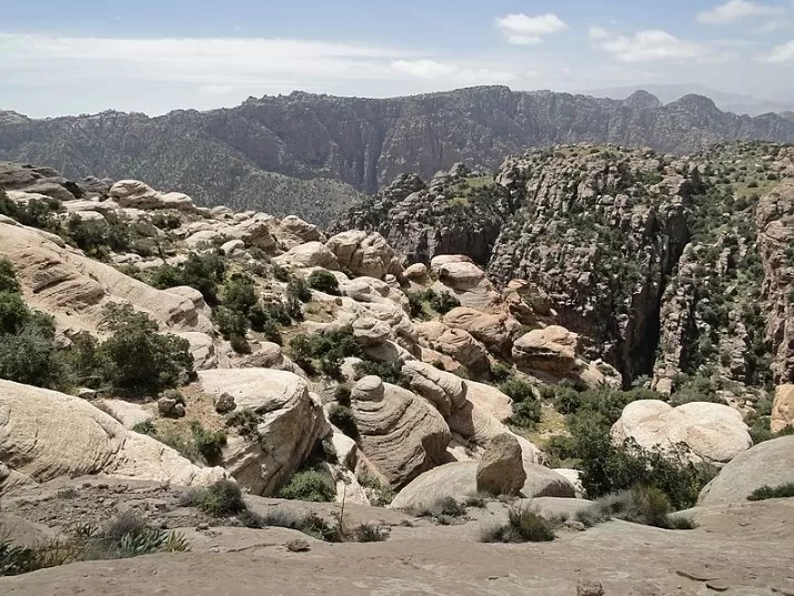مدار الساعة,أخبار الأردن,اخبار الاردن,رئاسة الوزراء,وزارة البيئة