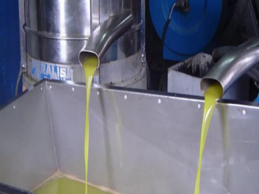 مدار الساعة,أخبار الأردن,اخبار الاردن