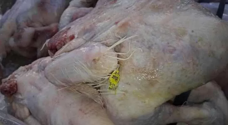 مدار الساعة,أخبار الأردن,اخبار الاردن,المؤسسة العامة للغذاء والدواء,بلدية الزرقاء