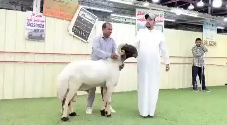 مدار الساعة,أخبار خفيفة ومنوعة,مواقع التواصل الاجتماعي