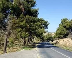 مدار الساعة,أخبار الأردن,اخبار الاردن,الدفاع المدني,البحث الجنائي