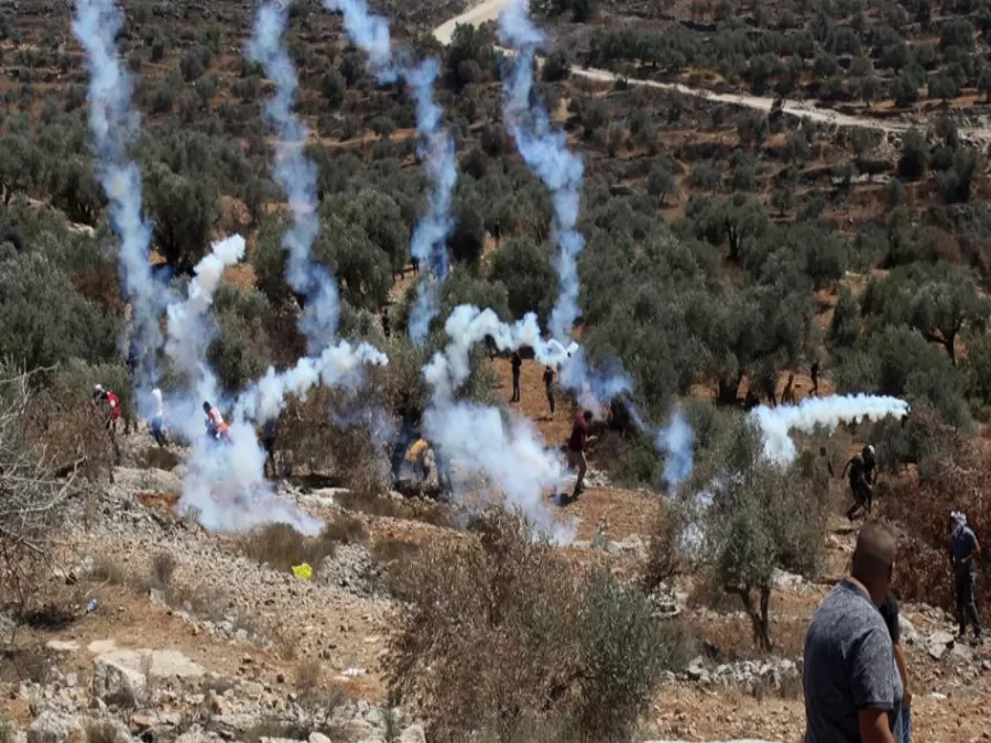 مدار الساعة,أخبار عربية ودولية,قطاع غزة,الضفة الغربية,المسجد الأقصى,حركة حماس
