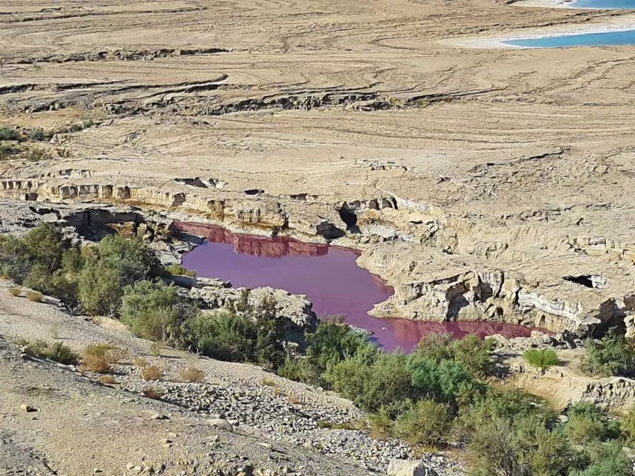 مدار الساعة,أخبار الأردن,اخبار الاردن,البحر الميت