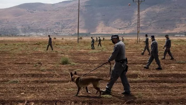مدار الساعة,أخبار خفيفة ومنوعة