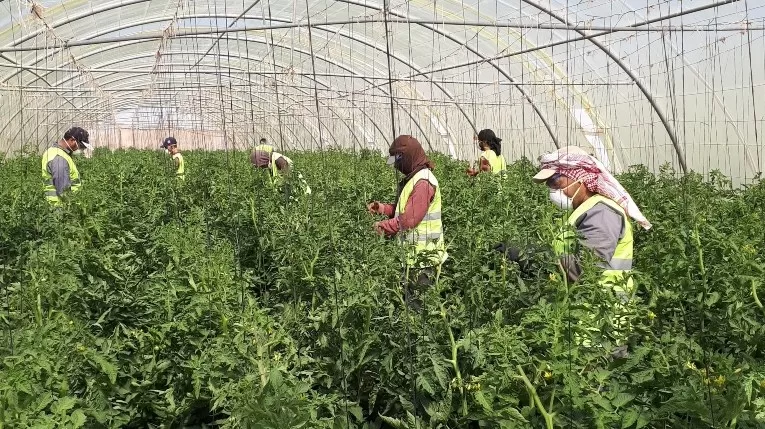 مدار الساعة,أخبار الأردن,اخبار الاردن,وزير الزراعة,وزارة الزراعة