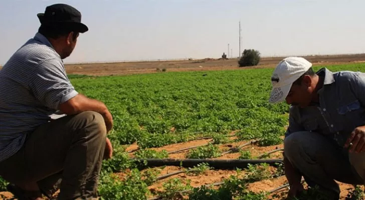 مدار الساعة,أخبار اقتصادية,وزير الزراعة,الملك عبدالله الثاني,مؤسسة الإقراض الزراعي,وزارة الزراعة,الإقراض الزراعي,مجلس الأعيان,يوم الشجرة