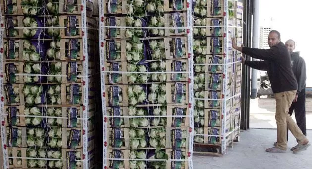 مدار الساعة,أخبار اقتصادية,وزارة الزراعة