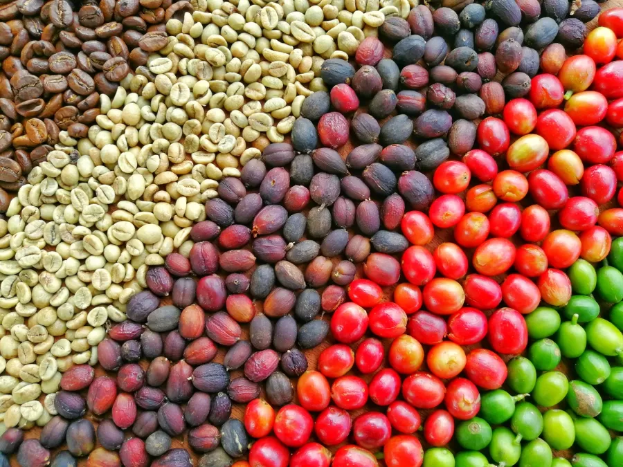 مدار الساعة,أخبار ثقافية