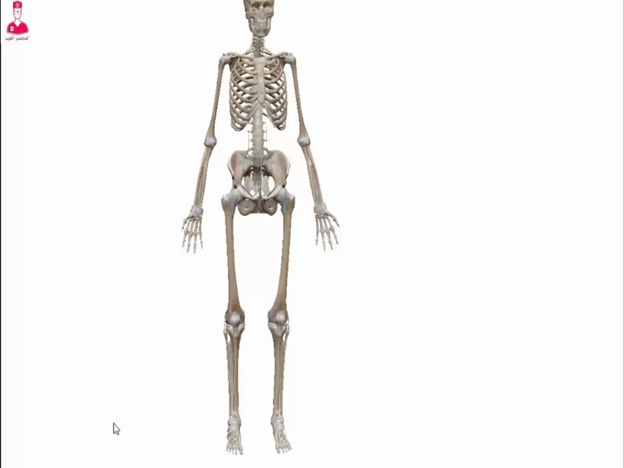 مدار الساعة,أخبار الأسرة