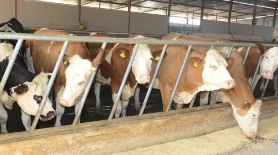 مدار الساعة,أخبار عربية ودولية