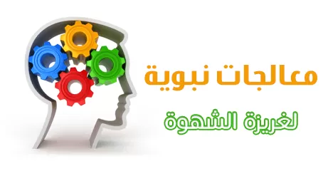 مدار الساعة,شؤون دينية