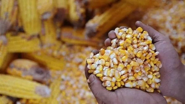 مدار الساعة,أخبار الأردن,اخبار الاردن,مؤسسة المواصفات والمقاييس,وزارة الزراعة,المواصفات والمقاييس