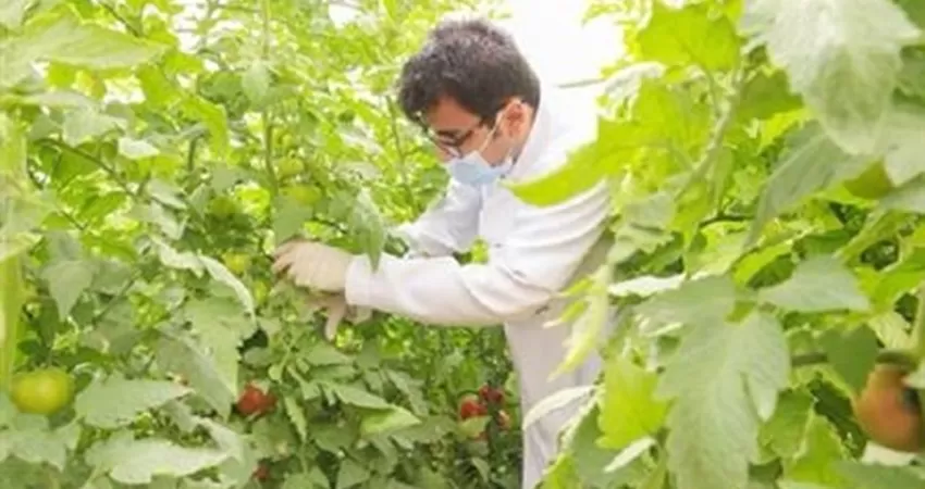 مدار الساعة,أخبار الأردن,اخبار الاردن,وزارة الزراعة