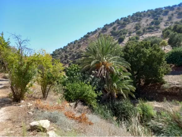 مدار الساعة,مقالات