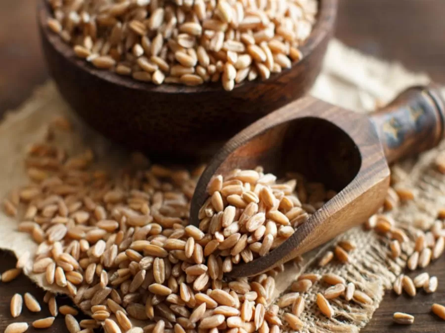 مدار الساعة,أخبار اقتصادية,وزارة الصناعة والتجارة,وزارة الصناعة