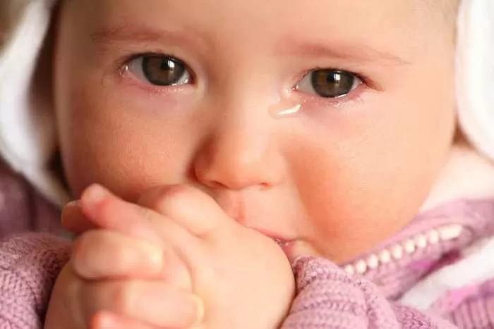 مدار الساعة,أخبار الأسرة