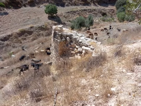 مدار الساعة,مقالات,الجامعة الهاشمية