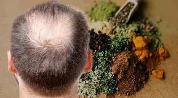مدار الساعة,أخبار الأسرة