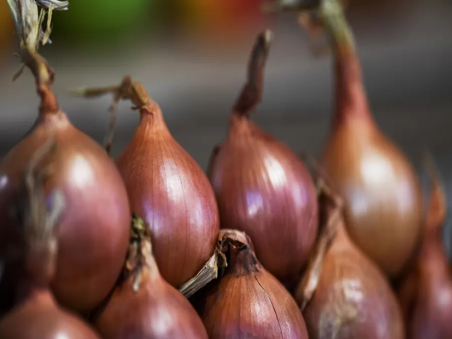 مدار الساعة,أخبار خفيفة ومنوعة
